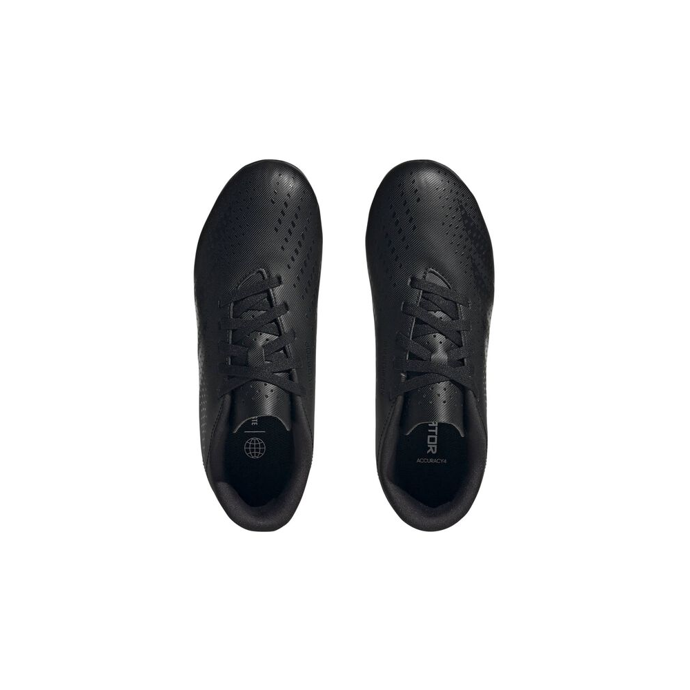 adidas Predator Accuracy.4 FxG FG HQ0950 / schwarz