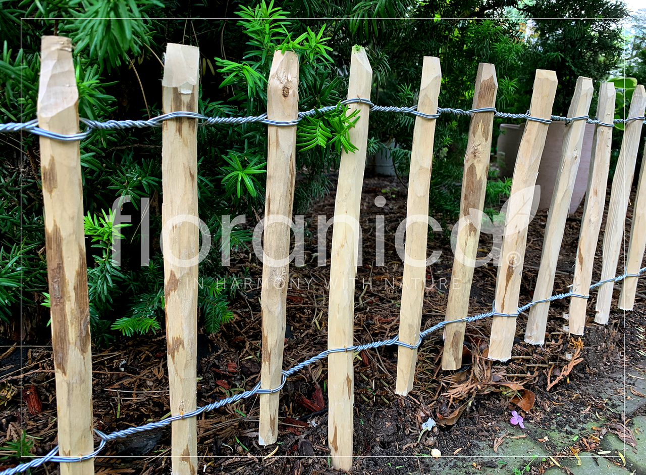 Pemicont Floranica Haselnussholz Rollzaun Imprägnierter Gartenzaun 2 Höhen Blumenbeet Palisade Tierschutz Barriere Lattenabstand: 4 6 cm Höhe: 50 cm hoch x lfm (Menge)