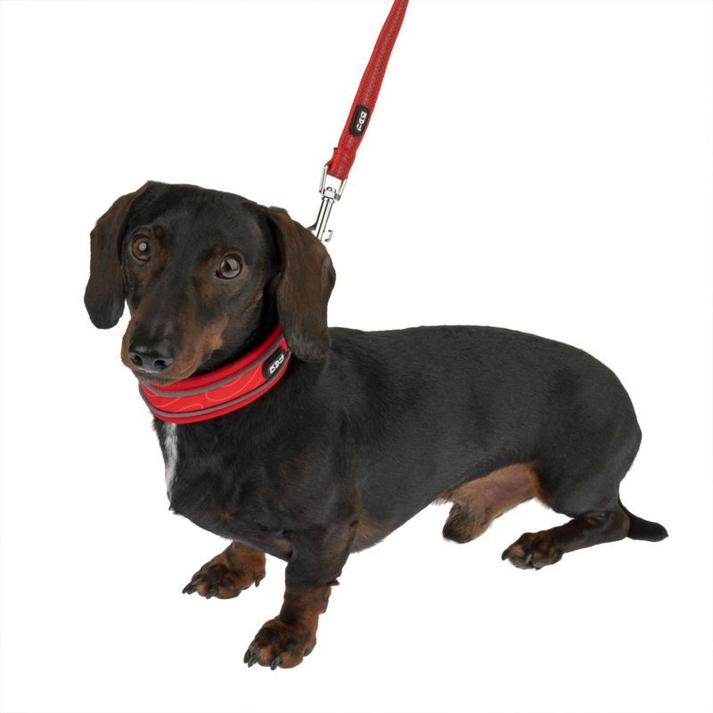 TIAKI Halsband Soft & Safe, rot zu TOP-Preisen
