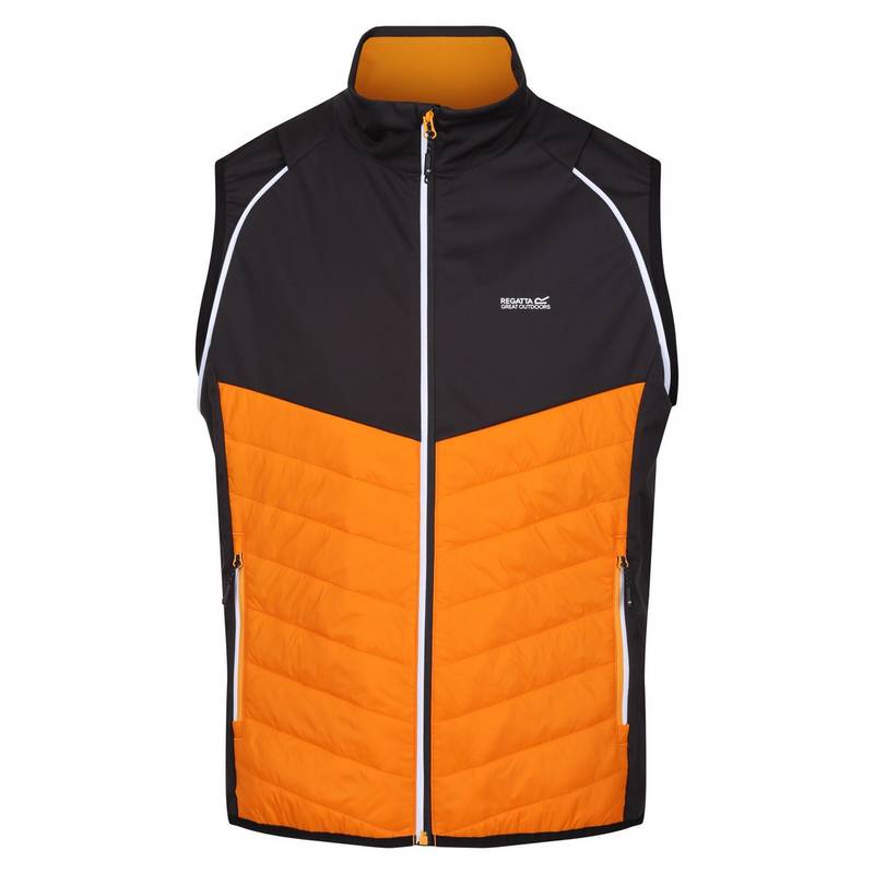 Regatta Steren Funktionsjacke Herren