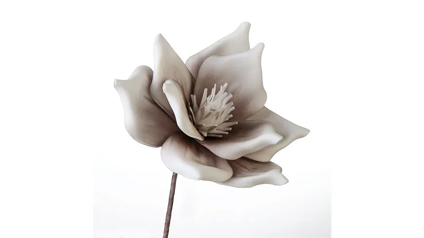 Casablanca Foam Flower Lagarto