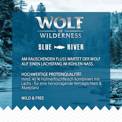 Wolf of Wilderness Adult 