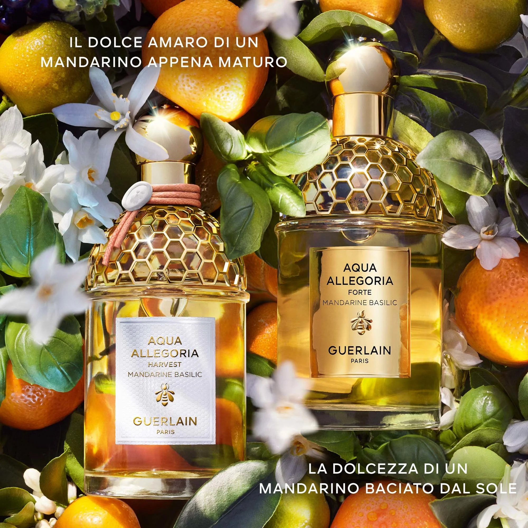 Aqua Allegoria Mandarine Basilic Harvest - Eau de Toilette