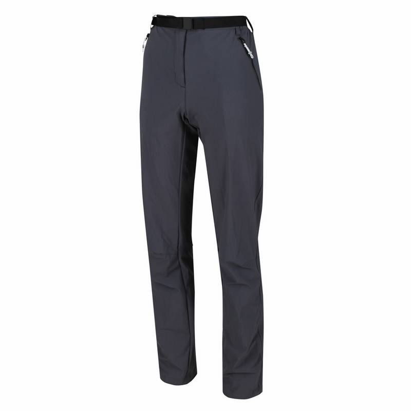 Regatta Xert III Wanderhose Damen