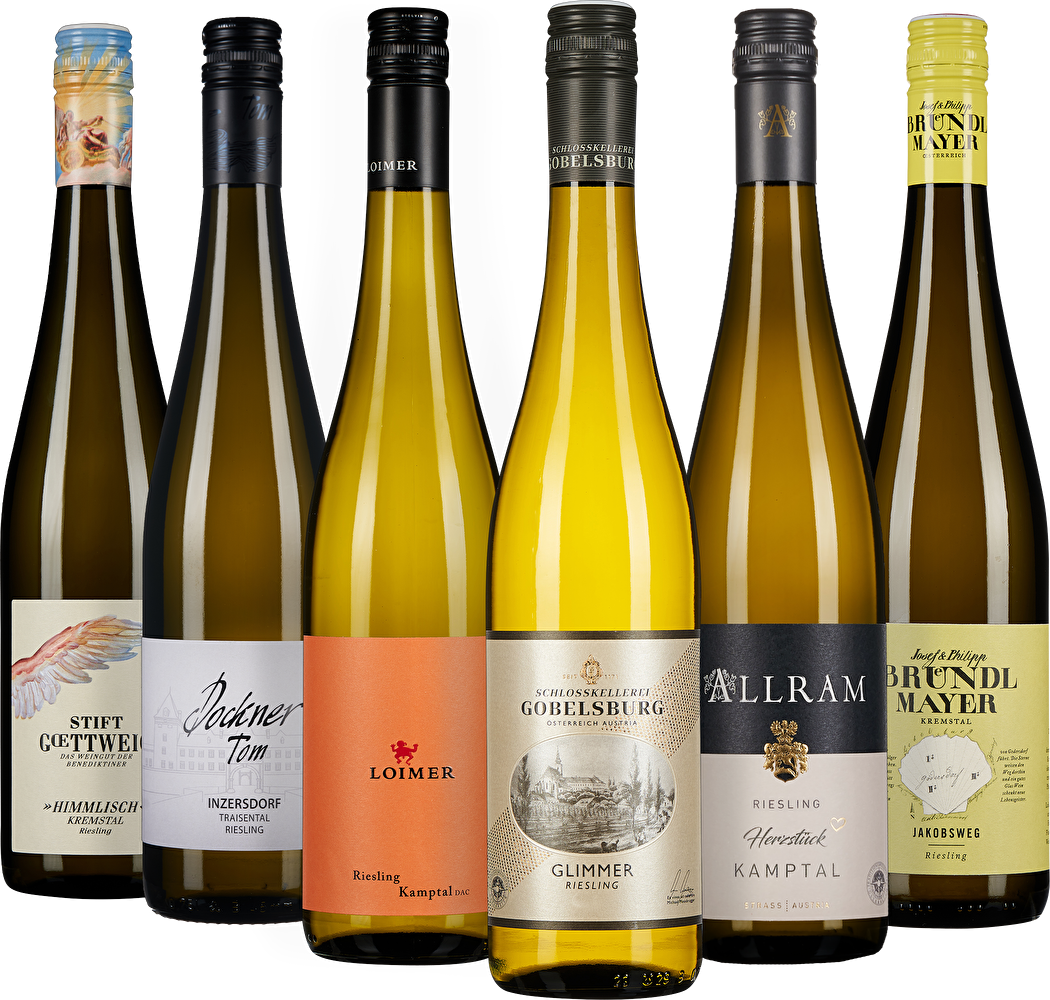 WEIN & CO Riesling Probierpaket