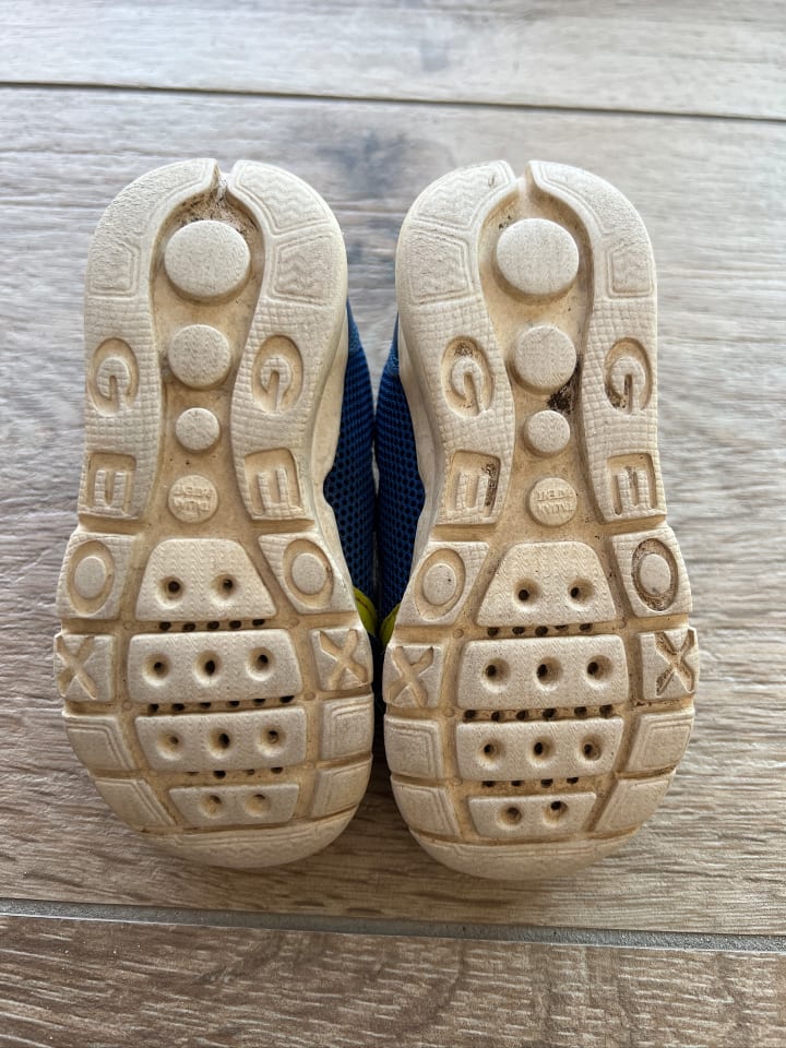 Geox Sneakers 