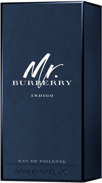 Burberry Mr. Burberry Indigo Eau de Toilette