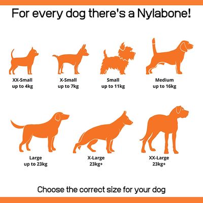 Nylabone kühlendes Kauspielzeug für zahnende Welpen