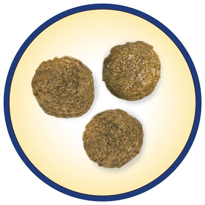 PURINA Dog Chow Complet/Classic mit Lamm