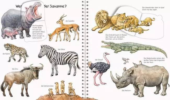 Ravensburger Wieso? Weshalb? Warum? Mein junior-Lexikon: Tiere