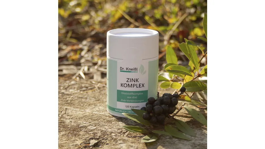 Dr.Kneißl Basics Zink Komplex 23 g