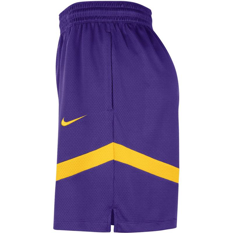 Nike Los Angeles Lakers Basketball-Shorts Herren