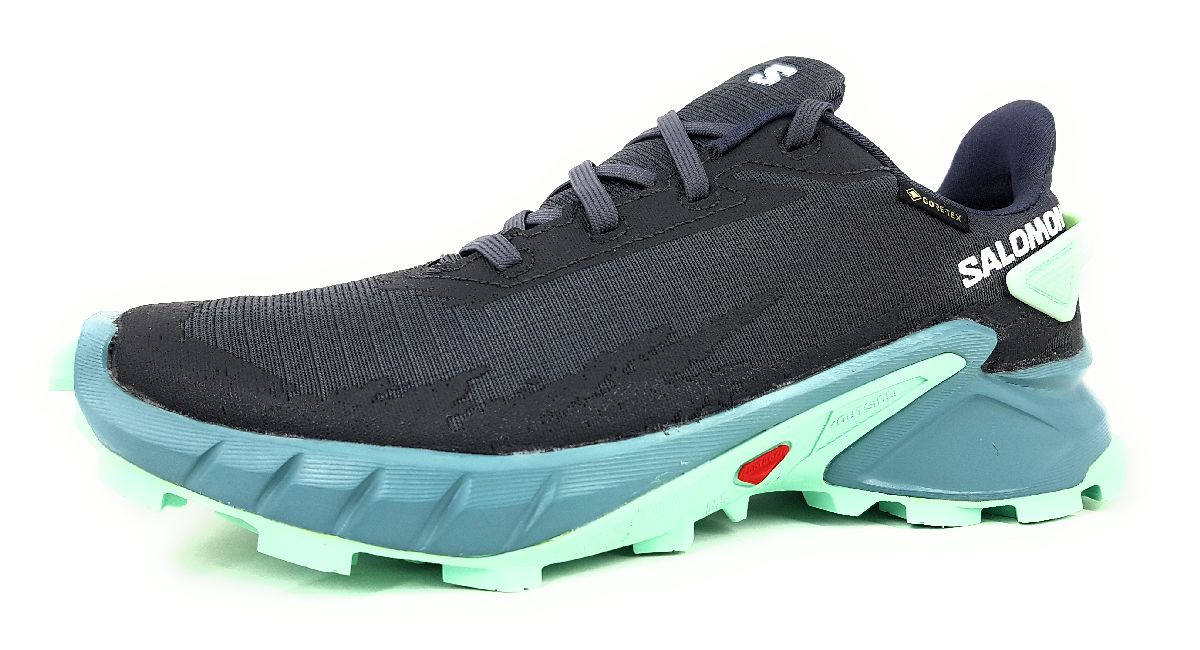 Salomon Alpha Cross 4GTX L47066800 Grau Ebony/Trellis/Yucca