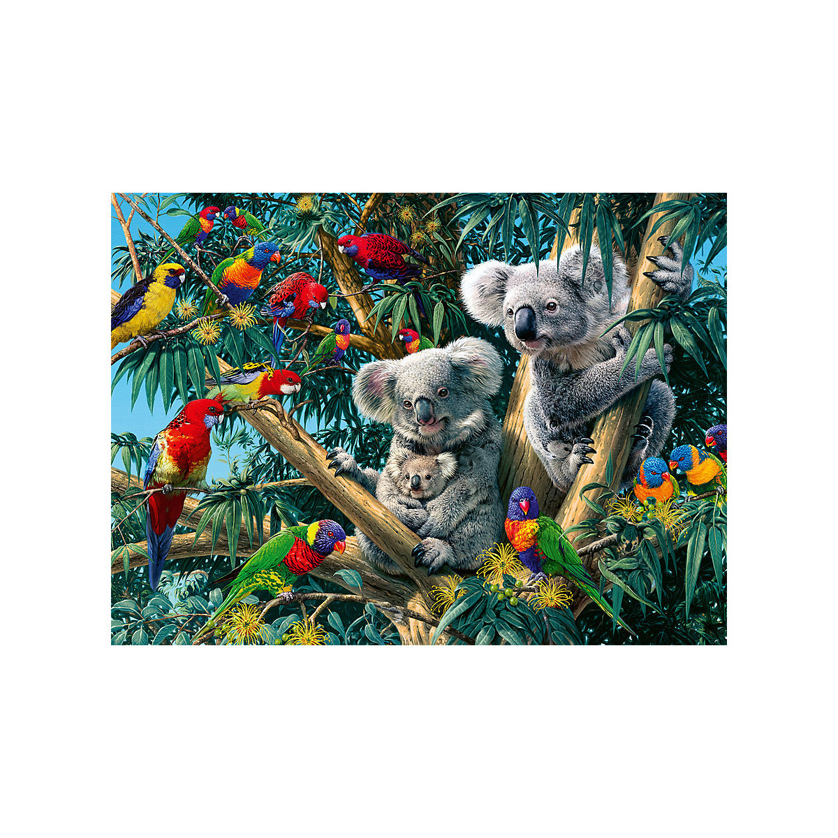 Puzzle 500 Teile, 49x36 cm, Koalas im Baum