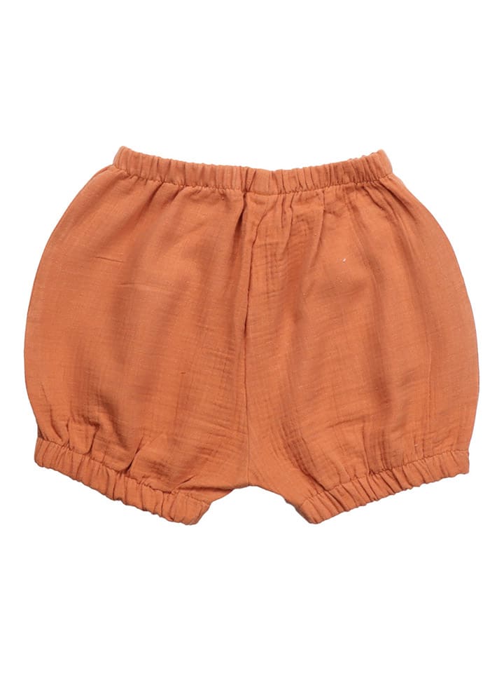 Walkiddy Shorts in Hellbraun günstig kaufen