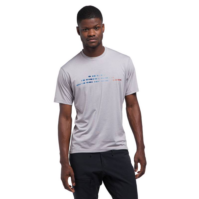 Haglfs Ridge Tee Funktionsshirt Herren