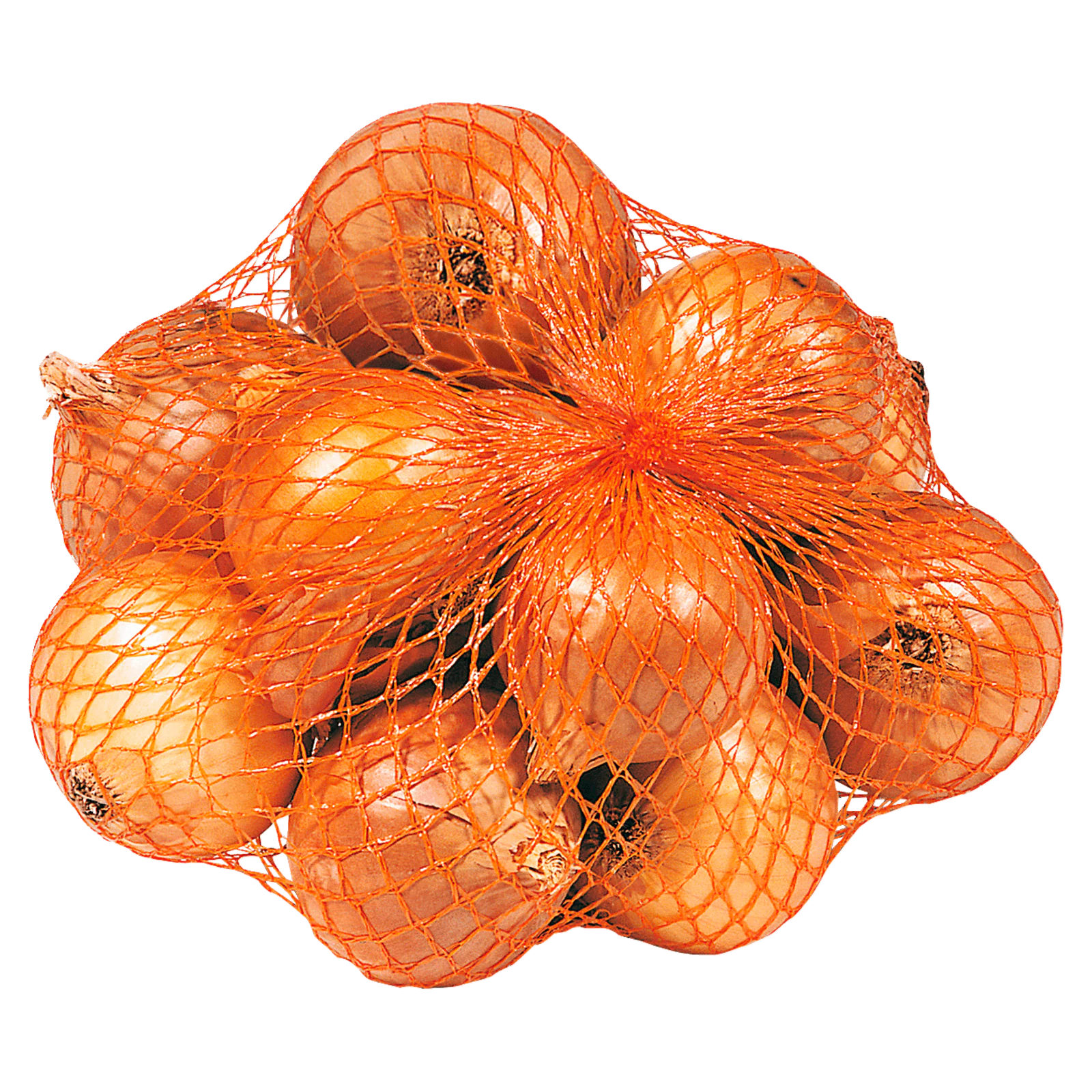 Speisezwiebeln 1kg im Netz