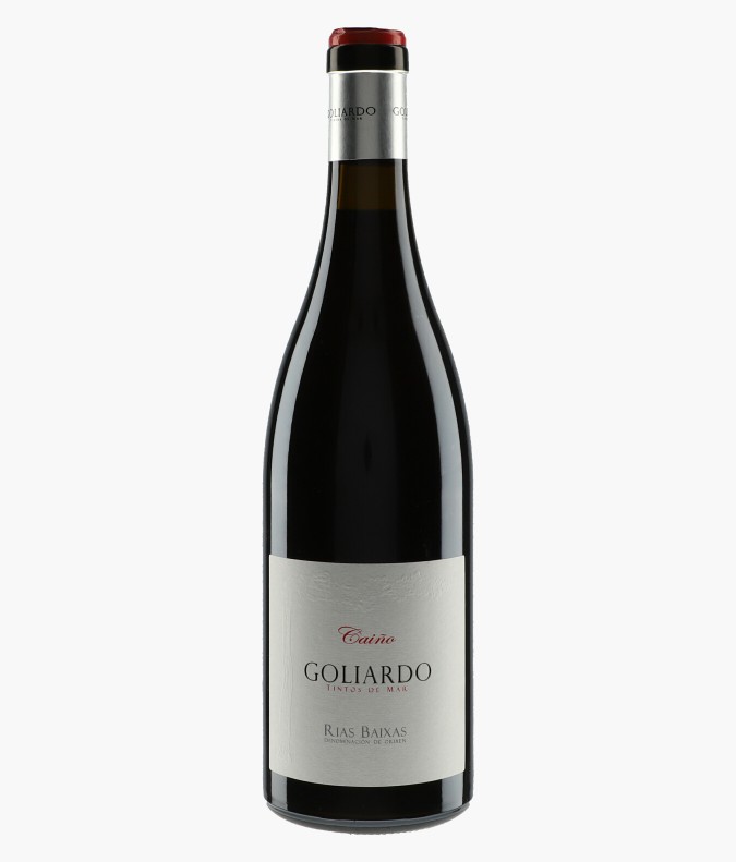 Goliardo Caino 2017FORJAS DEL SALNES