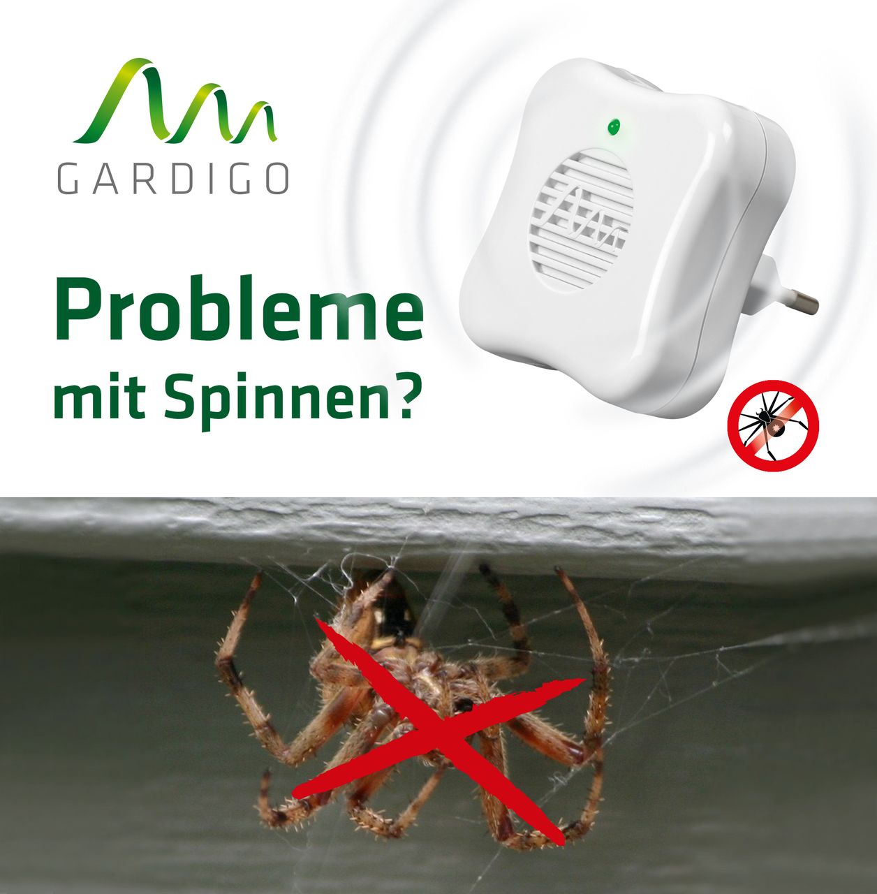 Gardigo xxxSpinnen-Abwehrxxx