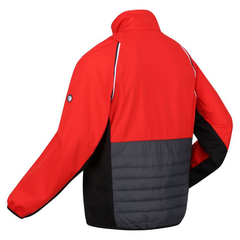 Regatta Steren Funktionsjacke Herren
