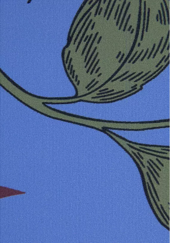 Bikini-Hose