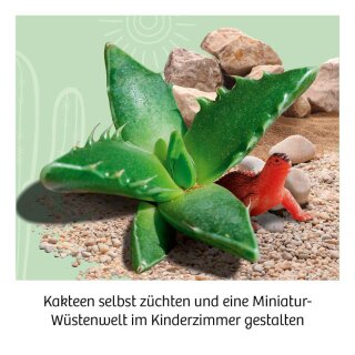 Kakteen-Wüste (DE)