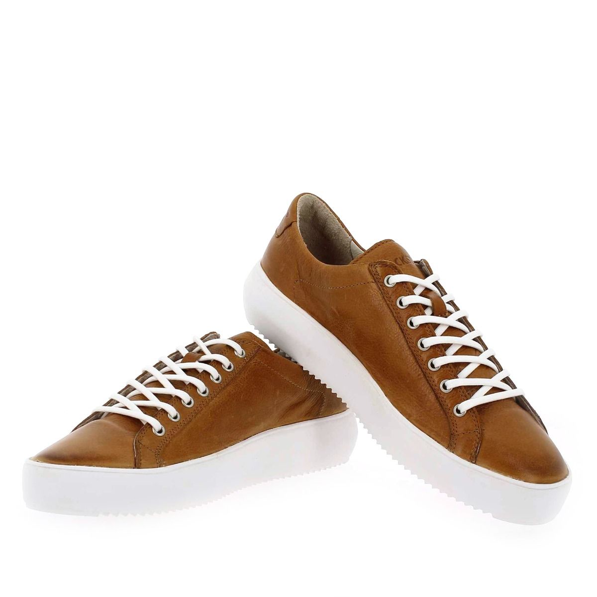 Blackstone  ZG18 - Cognac
