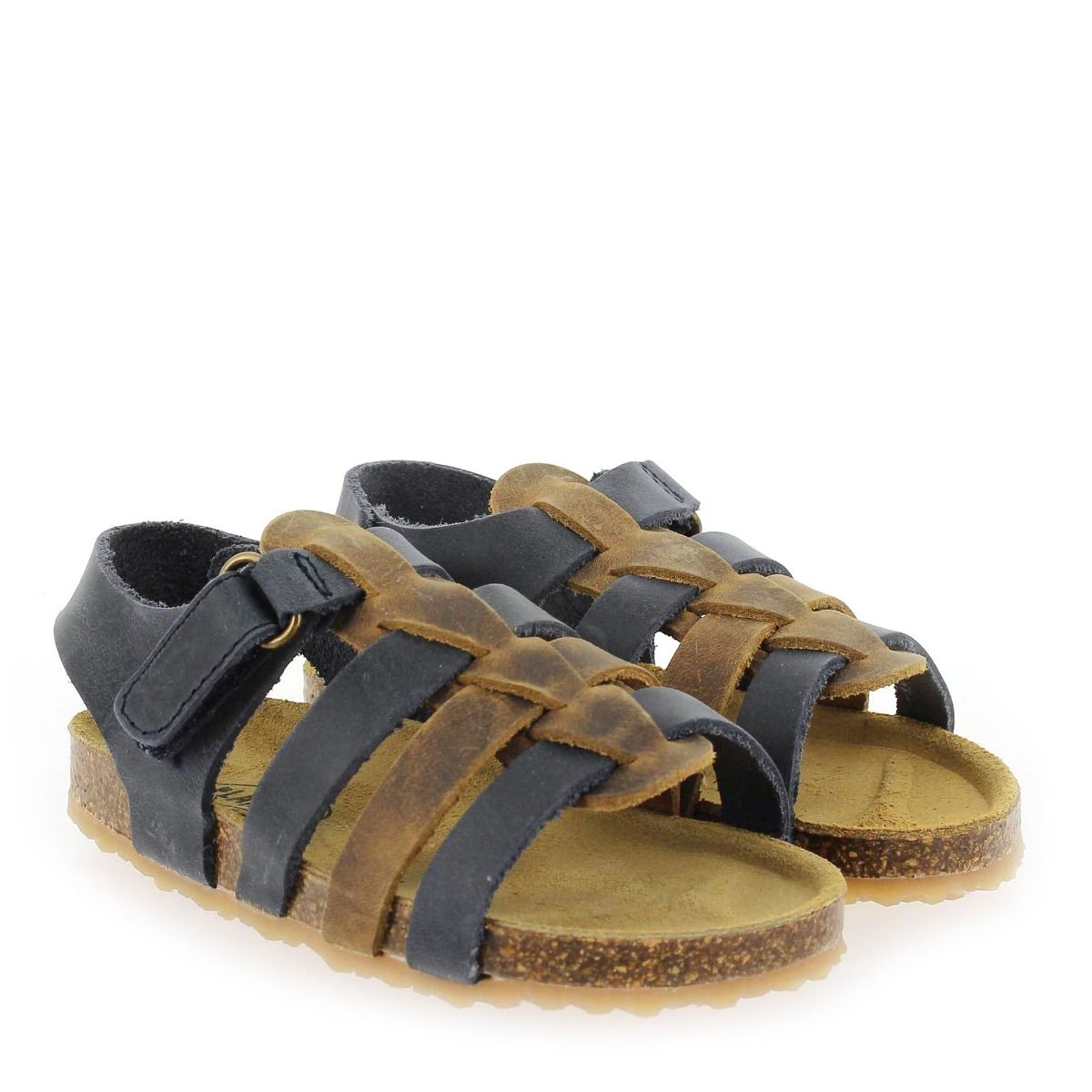 Plakton   PADOVA - Marine Camel