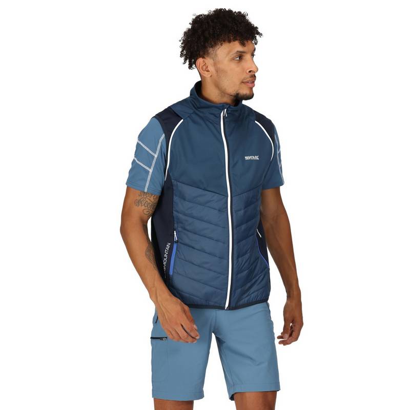 Regatta Steren Funktionsjacke Herren