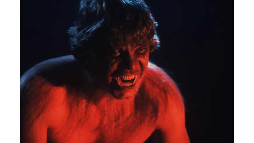 The Howling - Das Tier / Digital Remastered in 4K
