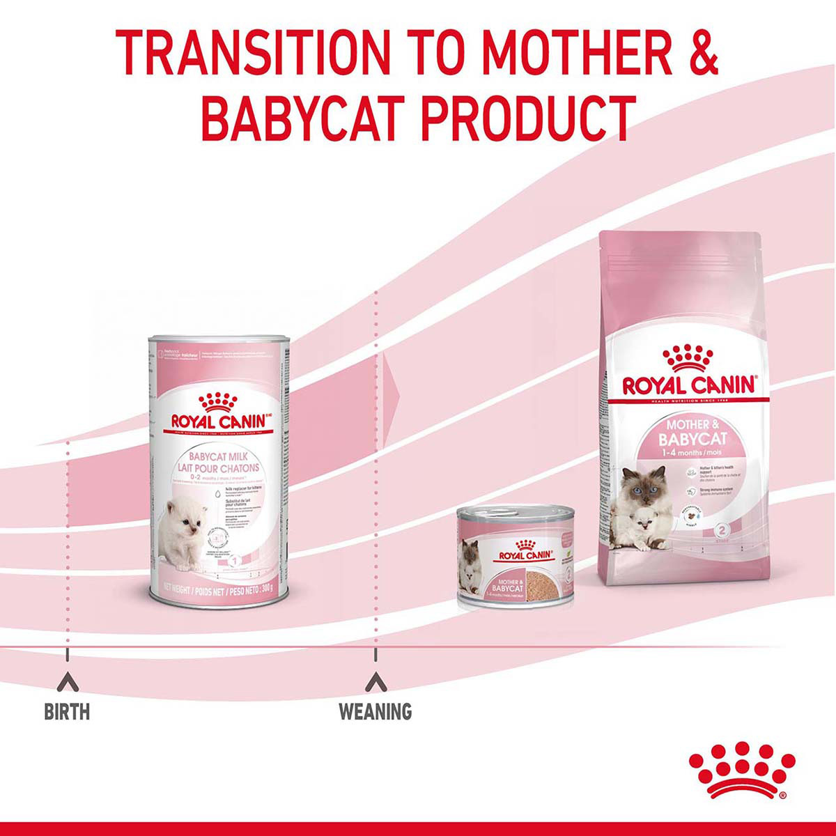 ROYAL CANIN BABYCAT MILK Aufzuchtmilch für Kitten 300g