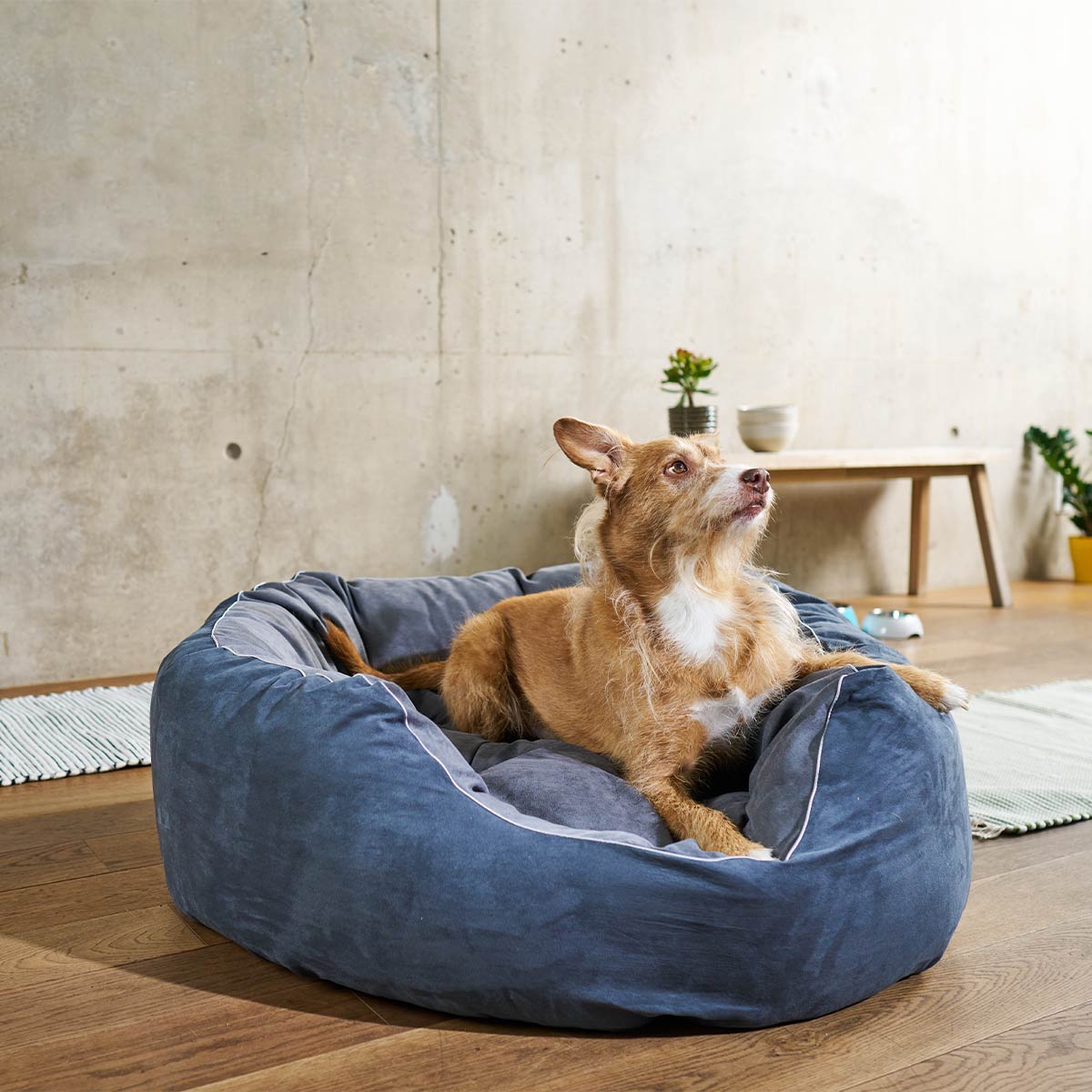 ZooRoyal Hundebett Balou günstig kaufen