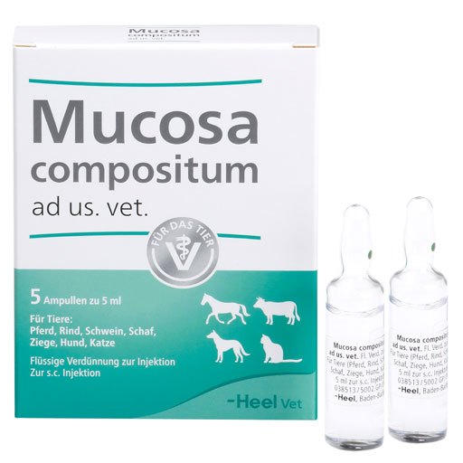MUCOSA compositum ad us.vet.Ampullen  5X5 ml  Ampullen
