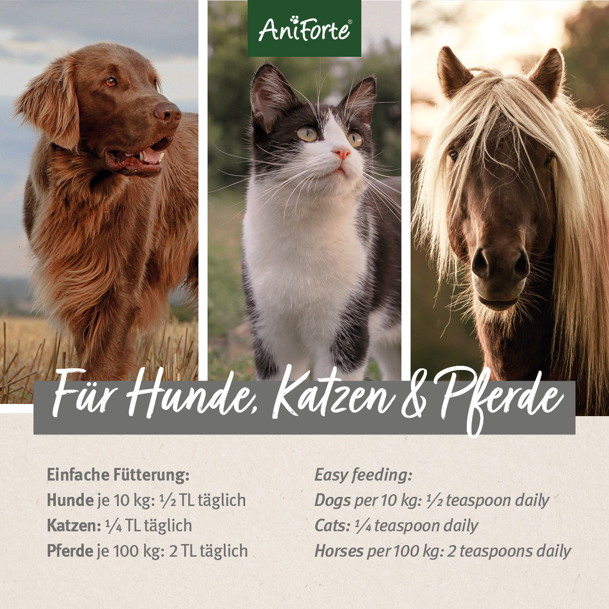 Aniforte Ergänzungsfutter & Aufzucht Aniforte Leinöl 1 Liter