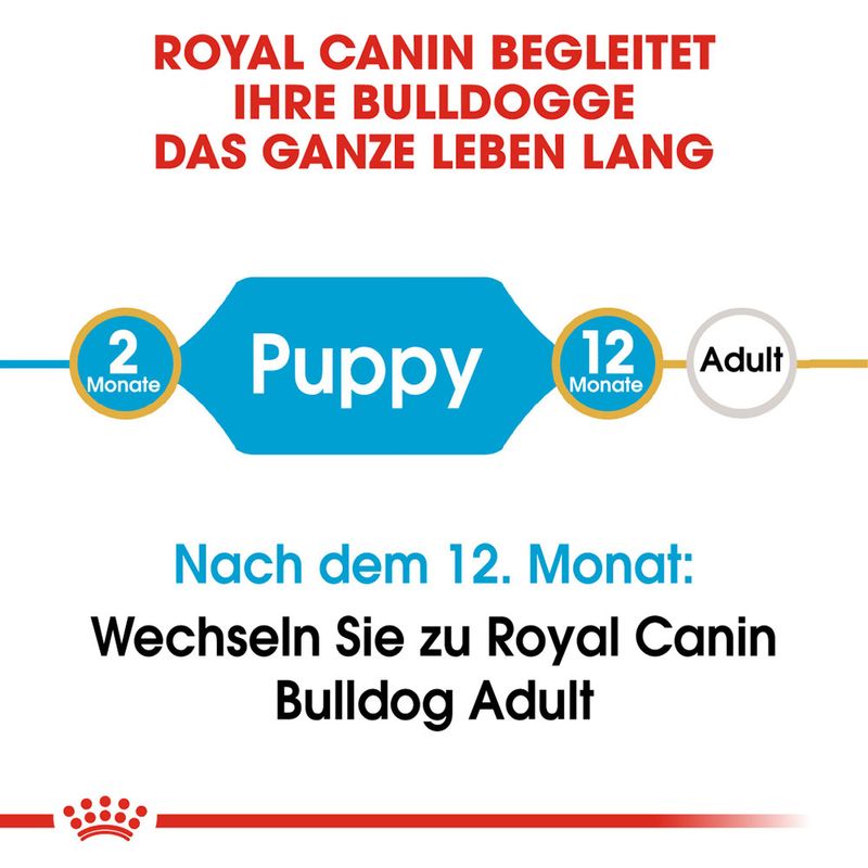 Royal Canin Bulldog Puppy
