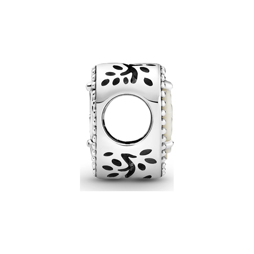 Pandora Charm Moments