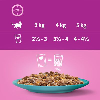 Multipack Whiskas Duo Portionsbeutel 48 x 85 g