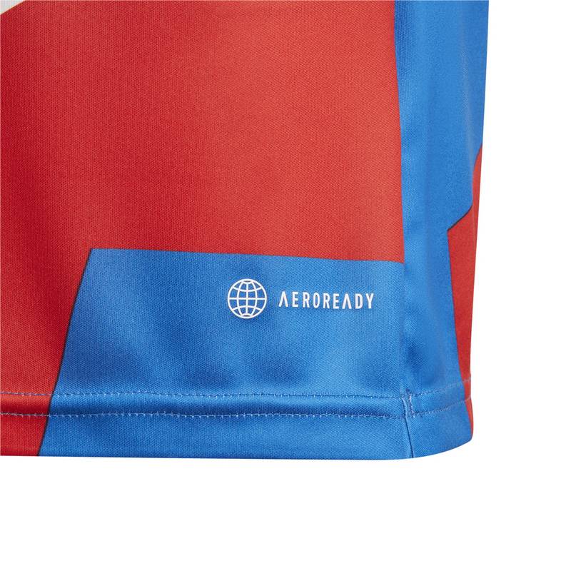 adidas FC Bayern München Prematch Funktionsshirt Kinder