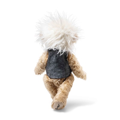 Albert Einstein Teddybär, 35 cm, beige