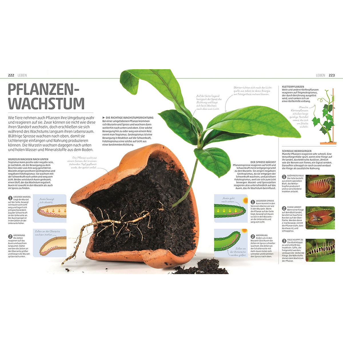 Mega-Wissen. Natur & Technik