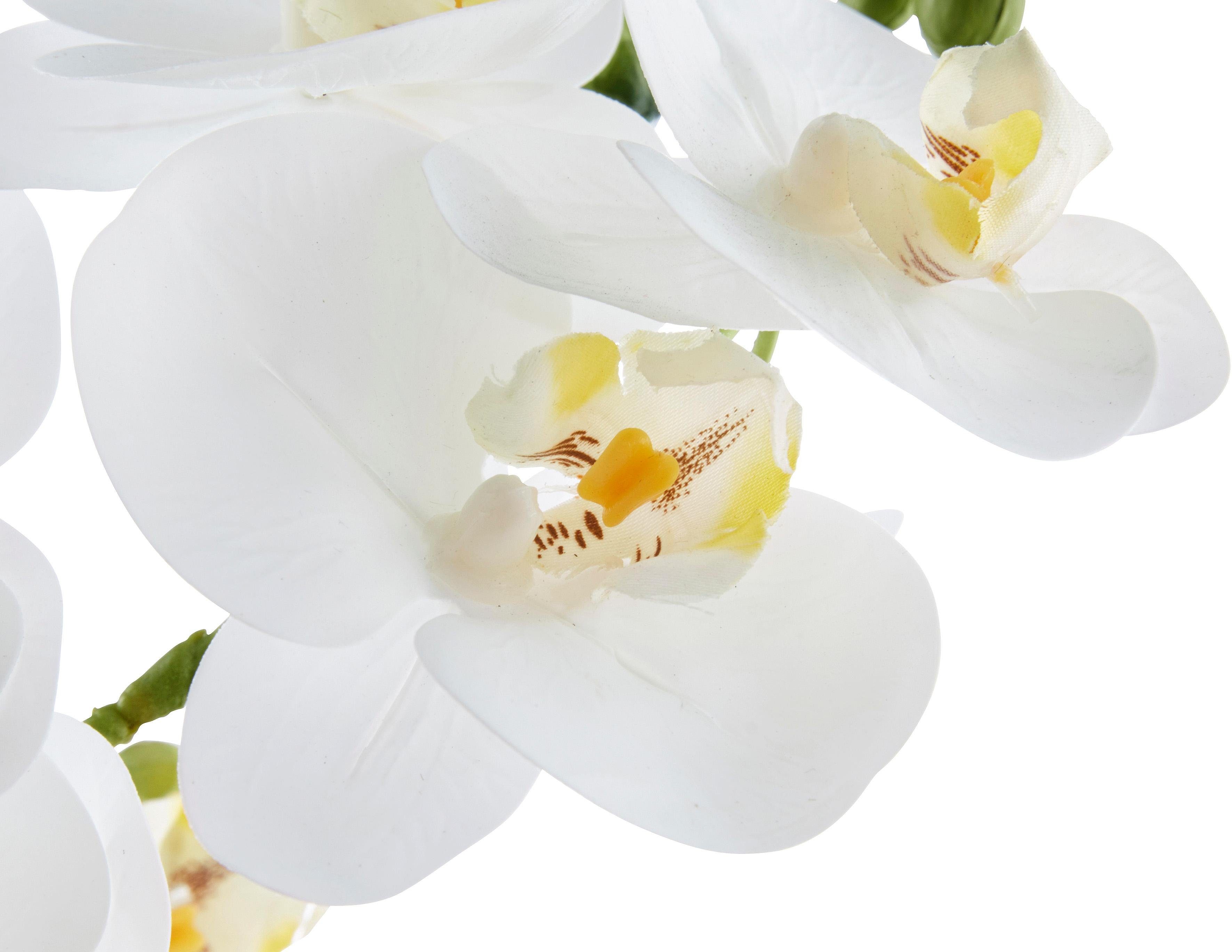 Kunstpflanze Orchidee Orchidee, Leonique, Höhe 38 cm, Kunstorchidee, im Topf