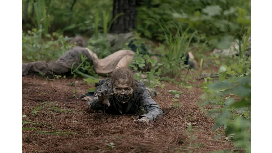 The Walking Dead - Staffel 9  [6 DVDs]