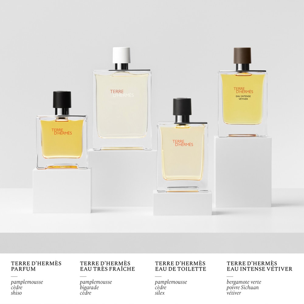 HERMÈS Terre d'Hermès Parfum