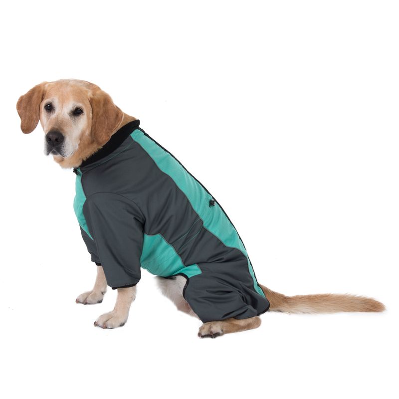 Hundeoverall Mint zu TOP-Preisen