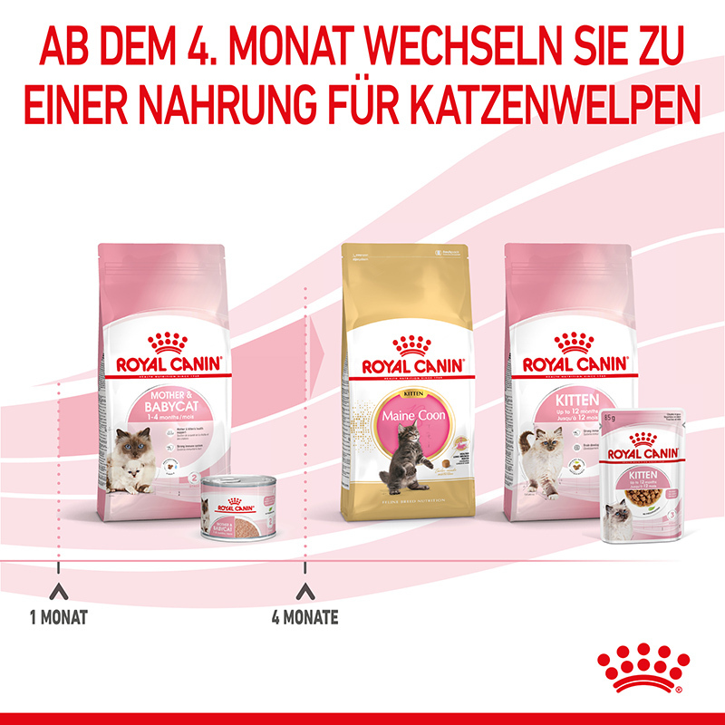 ROYAL CANIN Nassfutter ROYAL CANIN Mother & Babycat Mousse 12x195 g