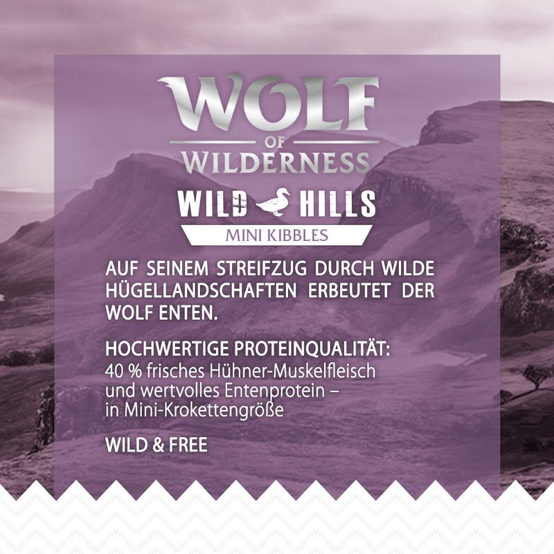 Wolf of Wilderness Mini 'Wild Hills' - Ente