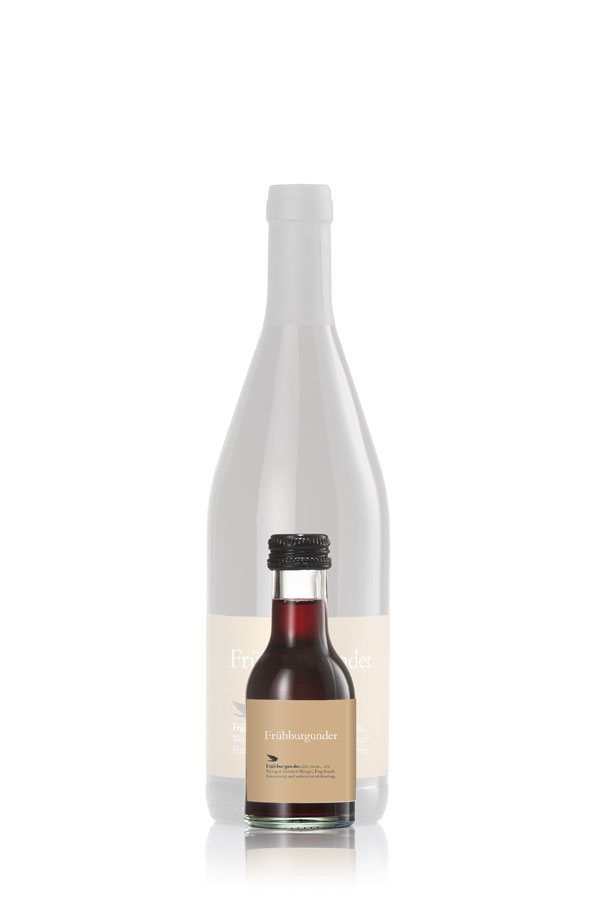 Frühburgunder - Weinmini Weingut Zimmer-Mengel