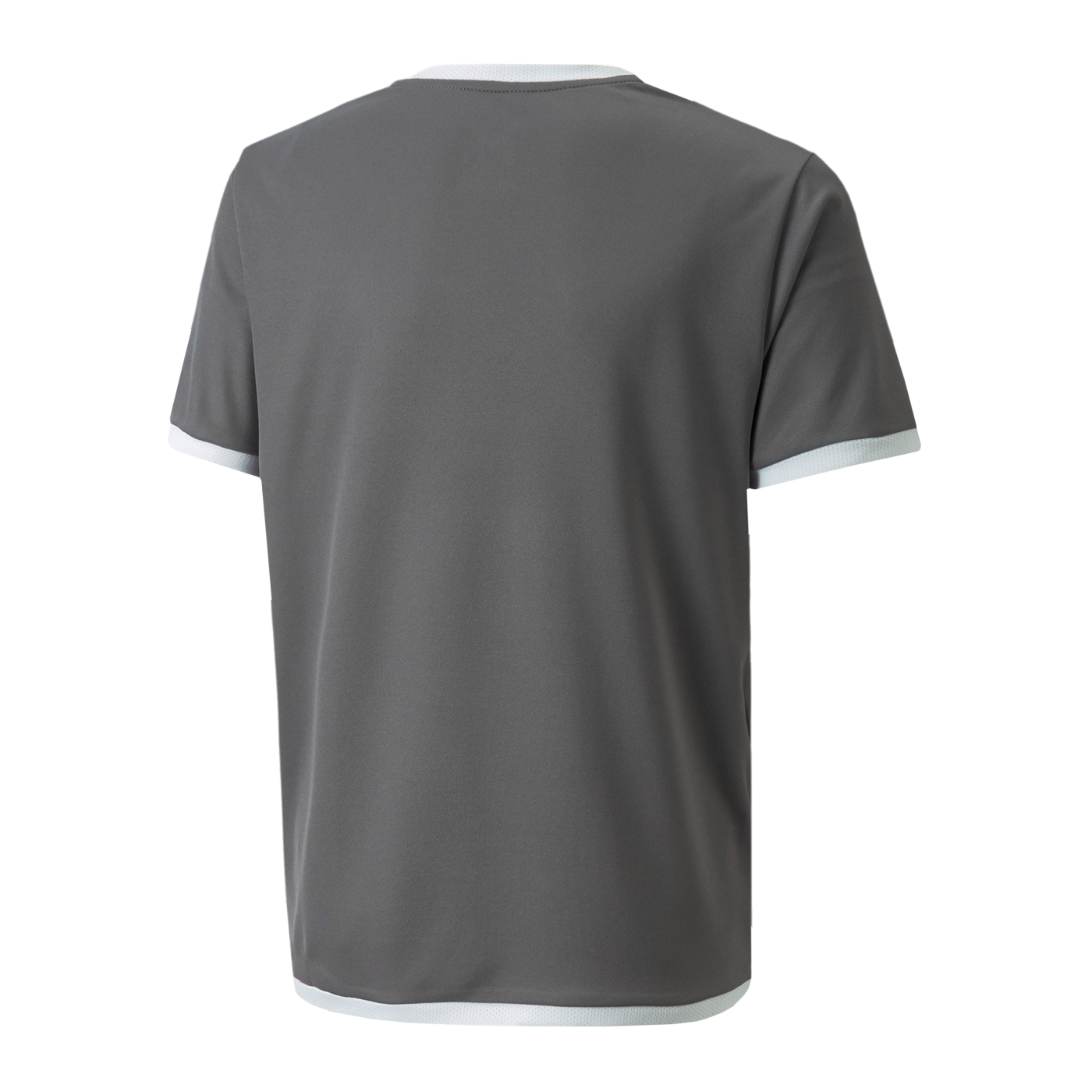 PUMA teamLIGA Trikot Kids Grau F13