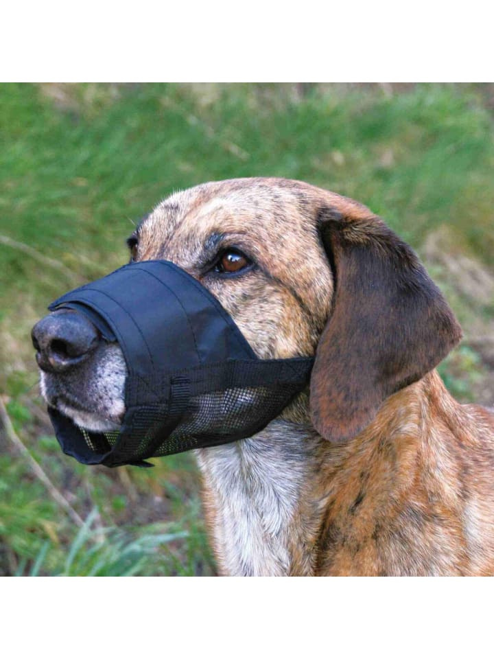 COFI 1453 Maulkorb mit Netzeinsatz stufenlos verstellbar in Schwarz günstig kaufen onesize