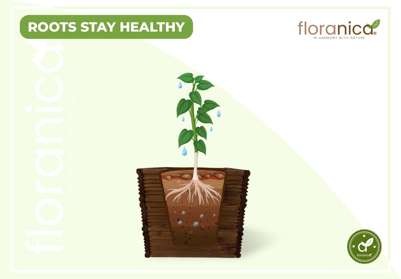 Pemicont Floranica Blumentopf aus Holz Kasten 30cm x 30cm x 285cm Braun Imprägniertes Lärchenholz Schutzhülle für Kräuter Blumen Haus- und Gartendekoration Innen- und Außenbereich EU-Produkt